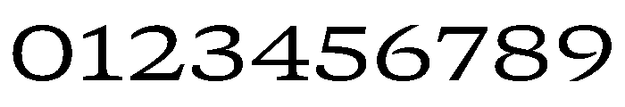 GTCanon SExtendedRegular Font OTHER CHARS