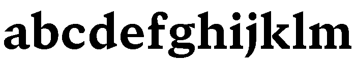 GTCanon SHeavy 2 FONT