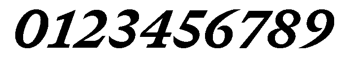 GTCanon SHeavyItalic 2 Font OTHER CHARS