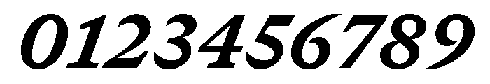GTCanon SHeavyItalic Font OTHER CHARS