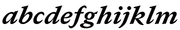 GTCanon SHeavyItalic FONT