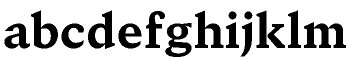 GTCanon SHeavy FONT