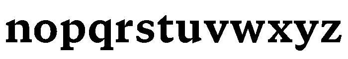 GTCanon SHeavy Font LOWERCASE