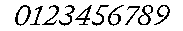 GTCanon SLightItalic 2 Font OTHER CHARS