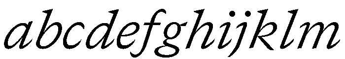 GTCanon SLightItalic 2 FONT