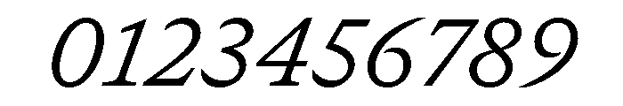 GTCanon SLightItalic Font OTHER CHARS