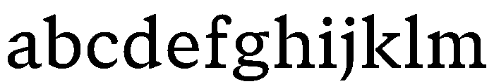 GTCanon SMedium 2 FONT