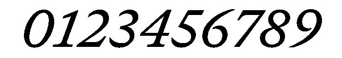 GTCanon SMediumItalic 2 Font OTHER CHARS