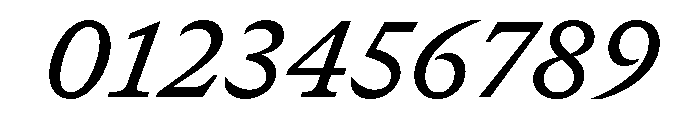GTCanon SMediumItalic Font OTHER CHARS