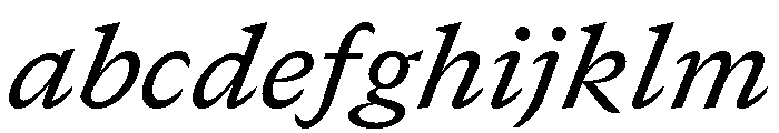 GTCanon SMediumItalic FONT