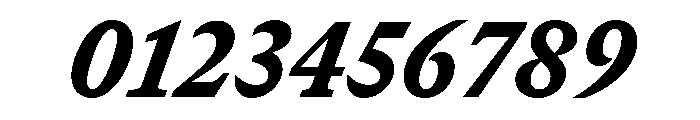 GTCanon SNarrowBlackItalic Font OTHER CHARS