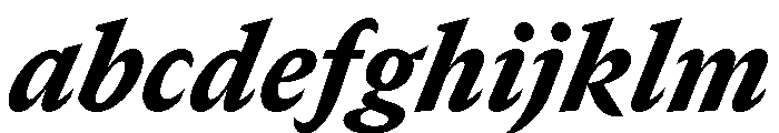 GTCanon SNarrowBlackItalic FONT