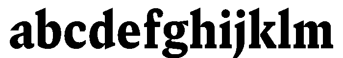 GTCanon SNarrowBlack FONT