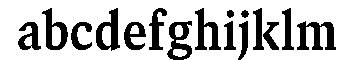 GTCanon SNarrowBold 2 FONT