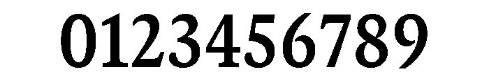 GTCanon SNarrowBold Font OTHER CHARS