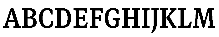 GTCanon SNarrowBold Font UPPERCASE