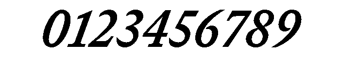 GTCanon SNarrowBoldItalic Font OTHER CHARS