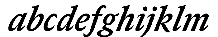 GTCanon SNarrowBoldItalic FONT