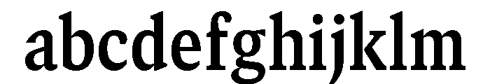 GTCanon SNarrowBold FONT
