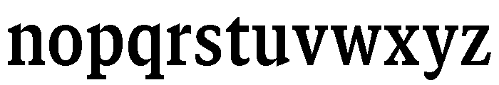 GTCanon SNarrowBold Font LOWERCASE