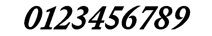 GTCanon SNarrowHeavyItalic 2 Font OTHER CHARS