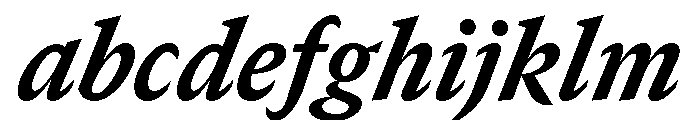 GTCanon SNarrowHeavyItalic 2 FONT