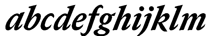 GTCanon SNarrowHeavyItalic FONT