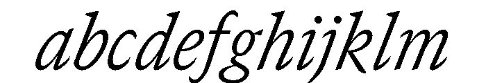 GTCanon SNarrowLightItalic 2 FONT
