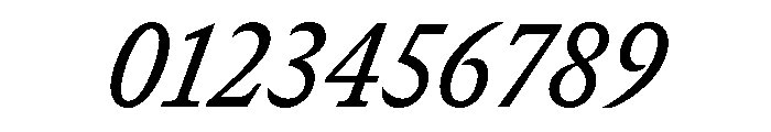 GTCanon SNarrowMediumItalic Font OTHER CHARS