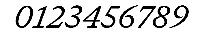 GTCanon SRegularItalic 2 Font OTHER CHARS