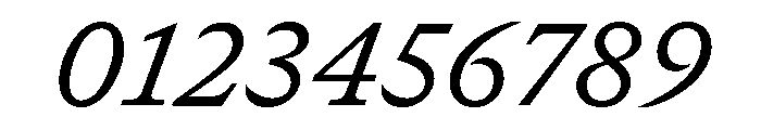 GTCanon SRegularItalic Font OTHER CHARS