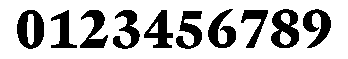 GTCanonMono Black Font OTHER CHARS