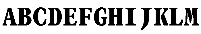 GTCanonMono Black Font UPPERCASE