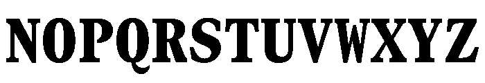 GTCanonMono Black Font UPPERCASE