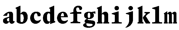 GTCanonMono Black FONT