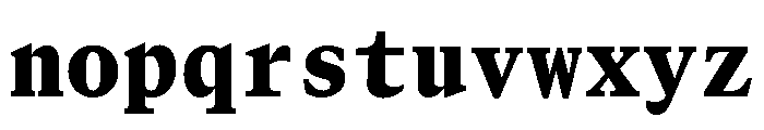 GTCanonMono Black Font LOWERCASE