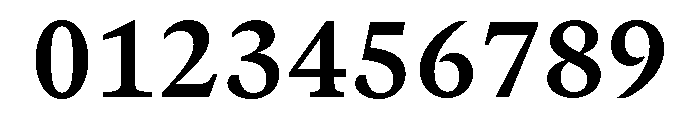 GTCanonMono Bold Font OTHER CHARS