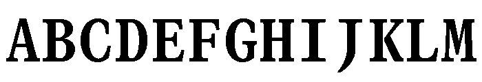 GTCanonMono Bold Font UPPERCASE