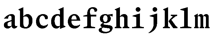 GTCanonMono Bold FONT