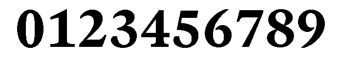 GTCanonMono Heavy Font OTHER CHARS