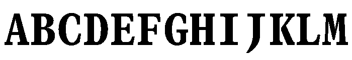 GTCanonMono Heavy Font UPPERCASE