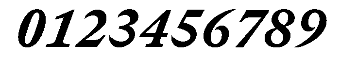 GTCanonMono HeavyItalic 2 Font OTHER CHARS