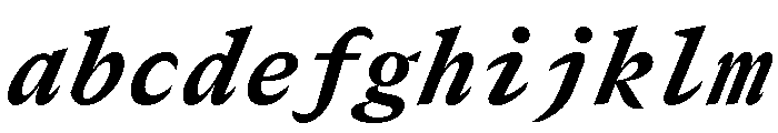 GTCanonMono HeavyItalic 2 FONT