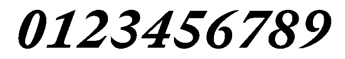 GTCanonMono HeavyItalic Font OTHER CHARS