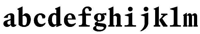 GTCanonMono Heavy FONT