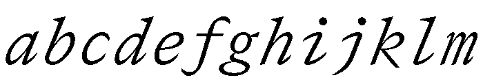 GTCanonMono LightItalic FONT