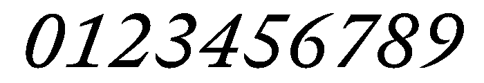 GTCanonMono MediumItalic Font OTHER CHARS