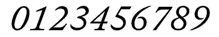 GTCanonMono RegularItalic Font OTHER CHARS