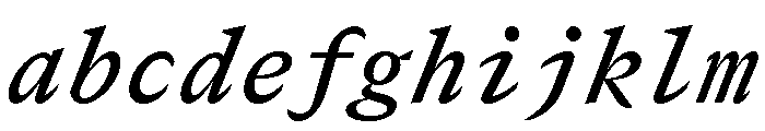 GTCanonMono SemiboldItalic 2 FONT