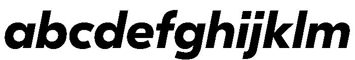 GTEestiDisplayLC BdIt FONT